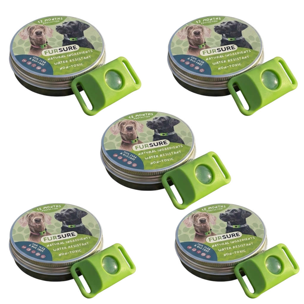 5 Pack | Bug Free Pendant